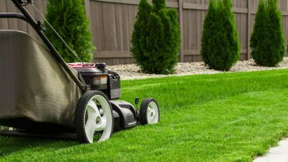 Die richtige Rasenpflege - der Rasen wird gemäht