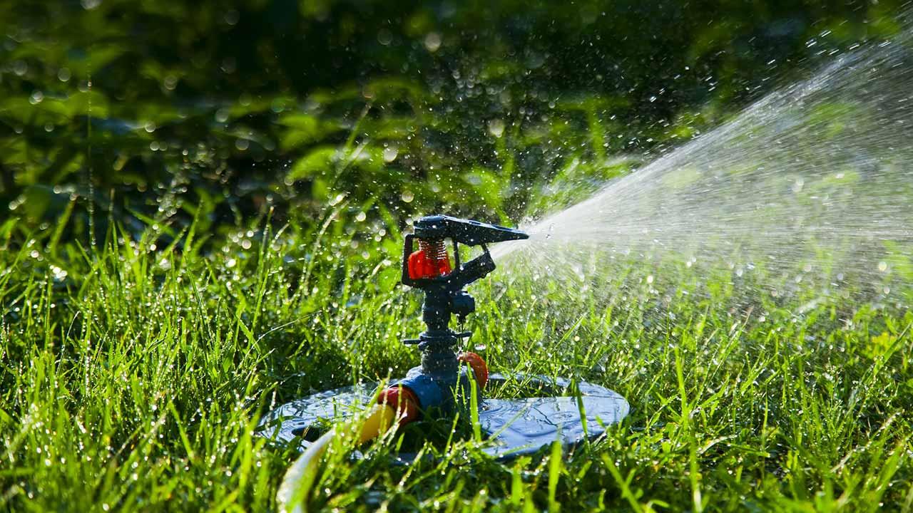 Die richtige Rasenpflege - der Rasen wird gewässert