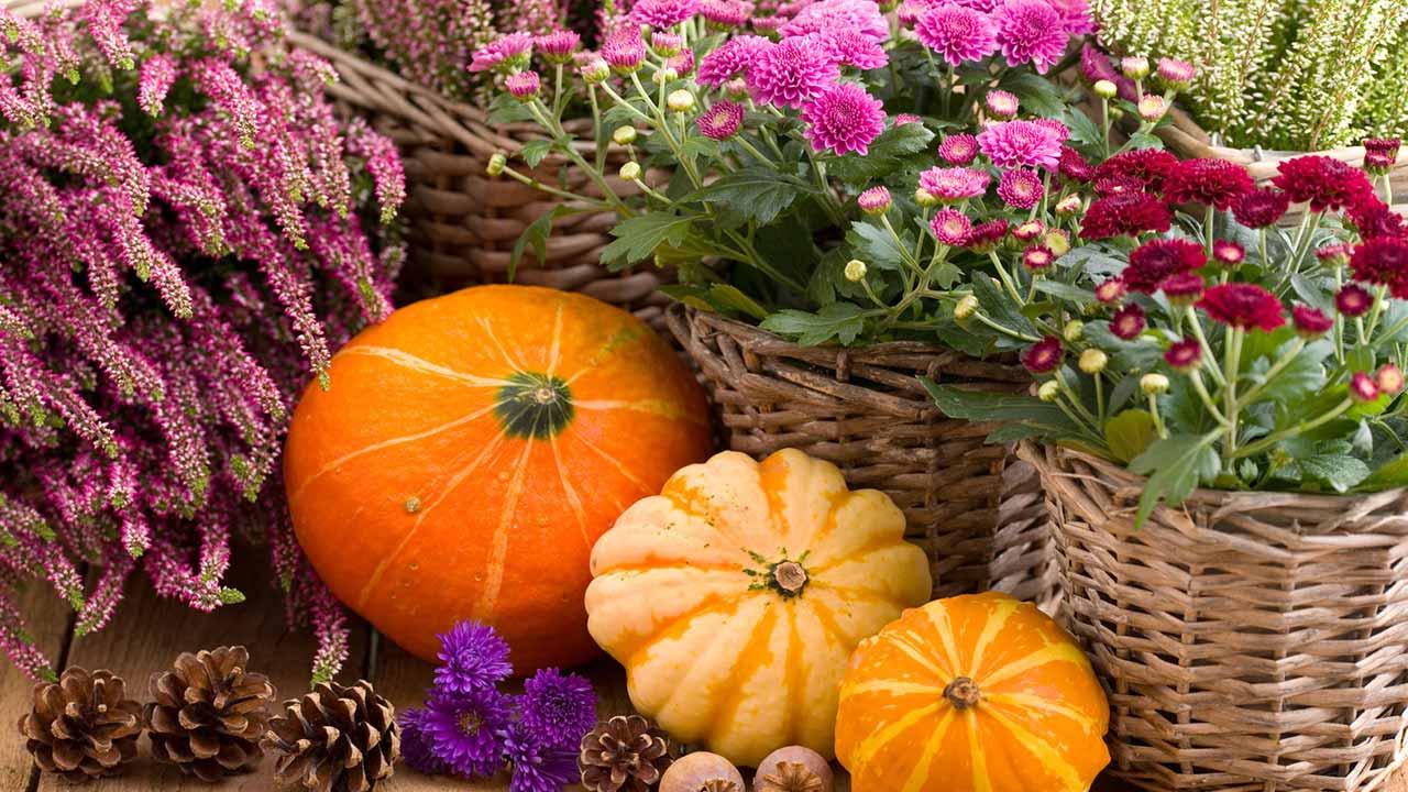 Die schönsten Deko-Ideen für Ihren Garten im Herbst - Herbstliche Deko
