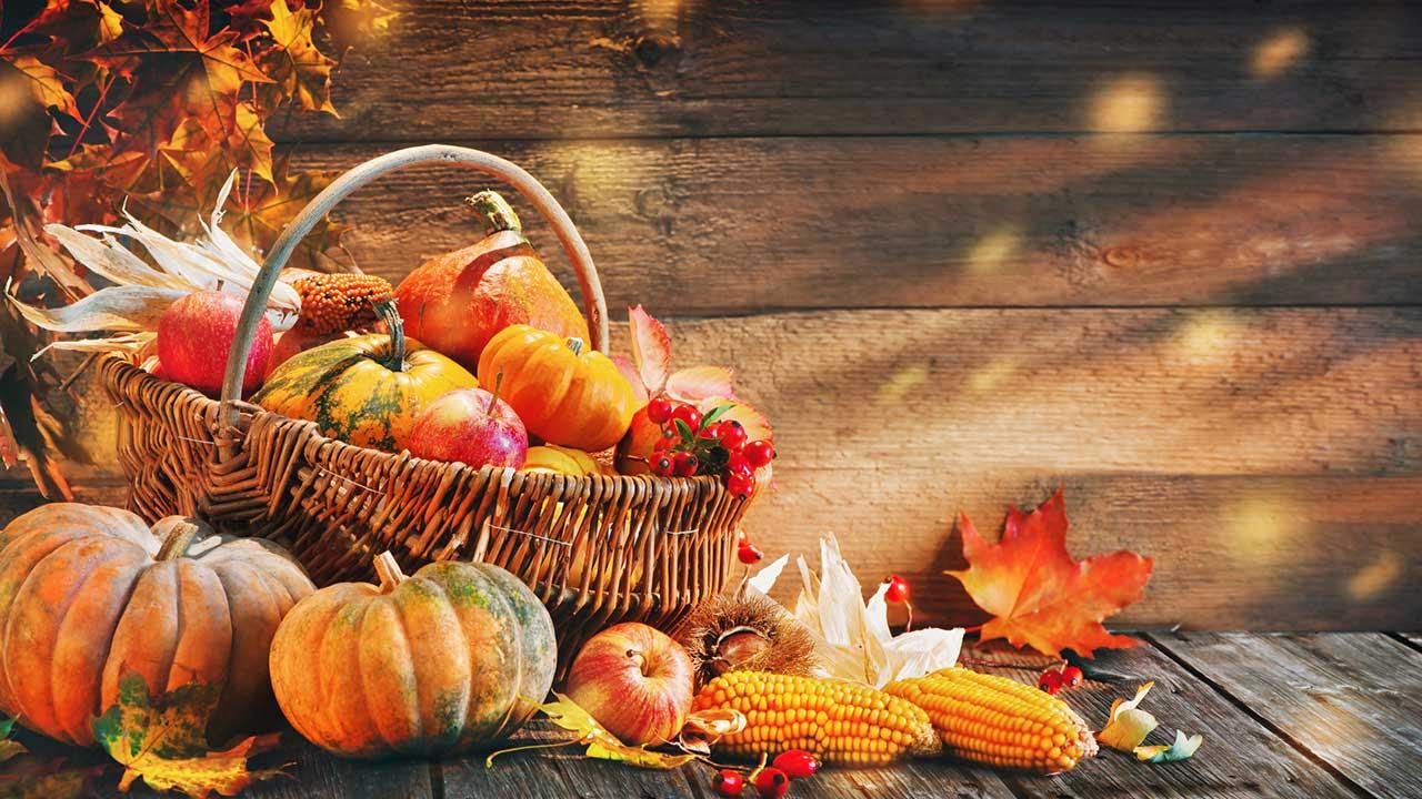 Die schönsten Halloween Deko-Ideen für Garten und Terrasse - Herbst Dekoration