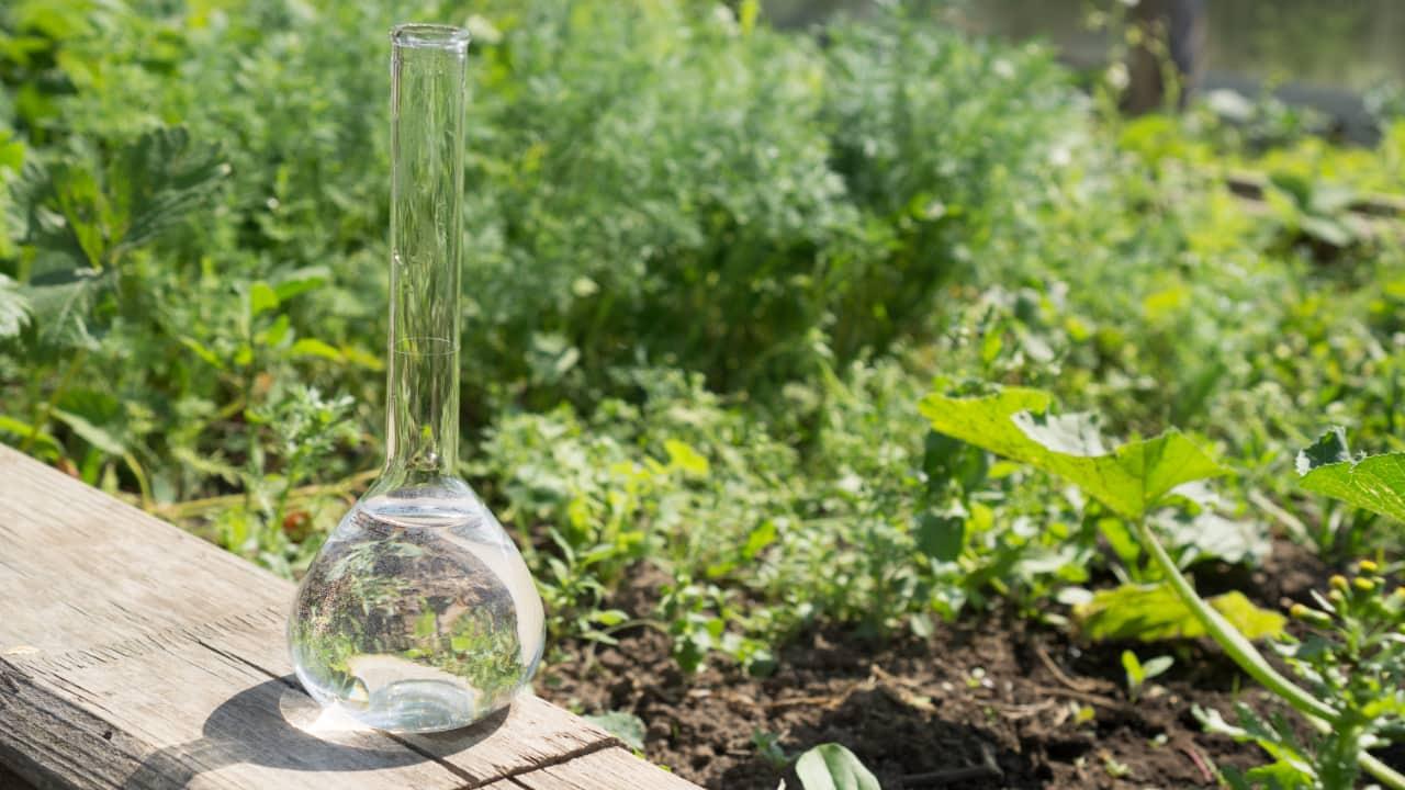 Brunnen im Garten - Gemüsegarten mit Reagenzglas