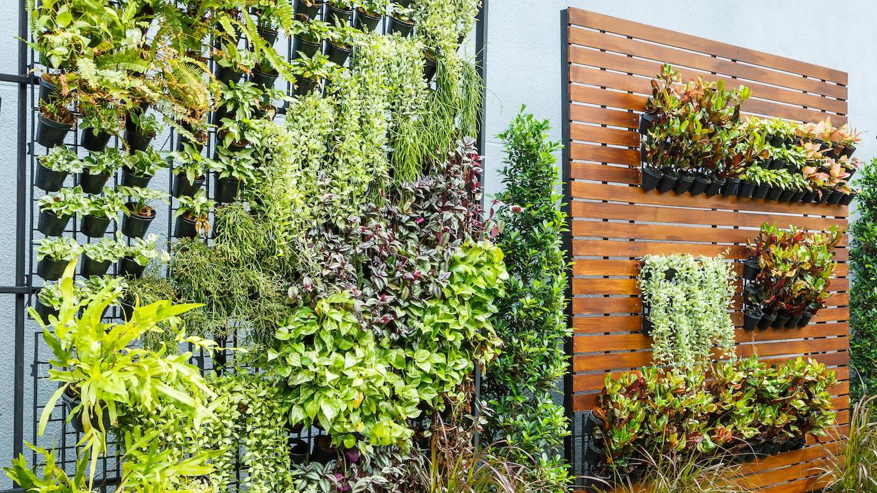 Vertikales Gärtnern - Wandbasiertes Pflanzsystem mit Gemüse und Pflanzen
