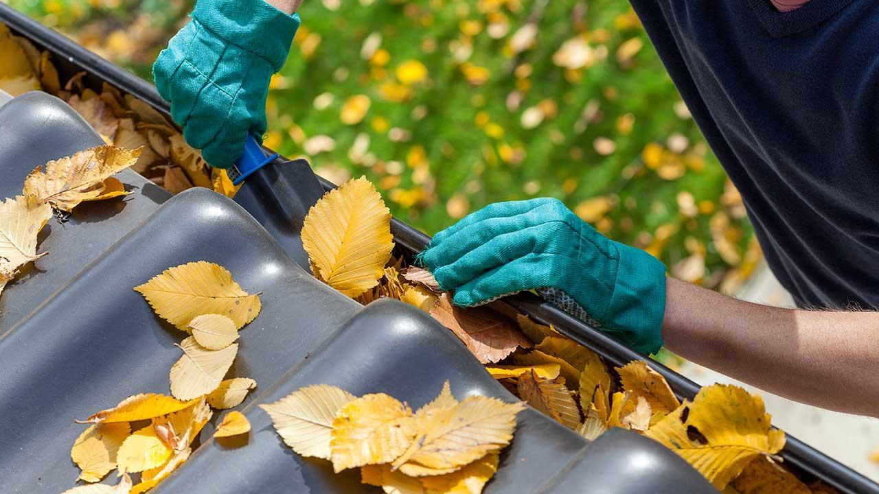 Checkliste Herbst Haus - Reinigung Dachrinne