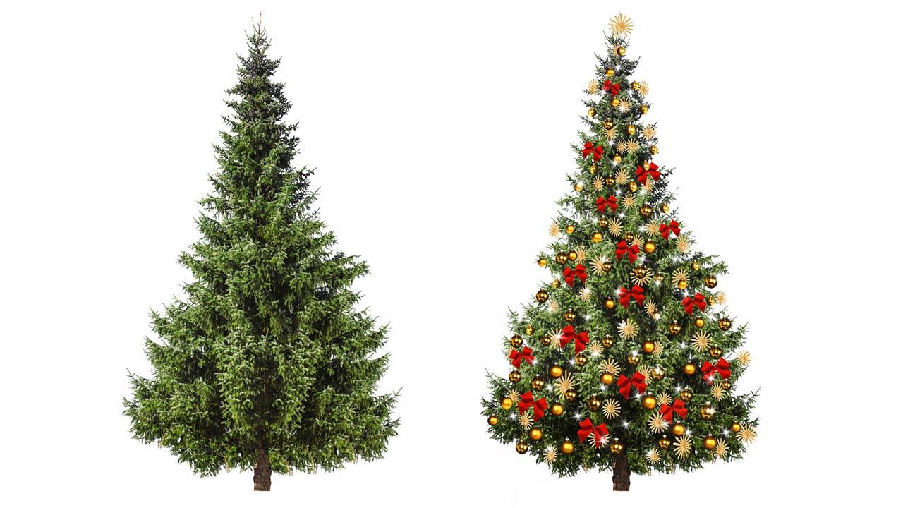 Der perfekte Weihnachtsbaum im Haus - geschmückt und ungeschmückt
