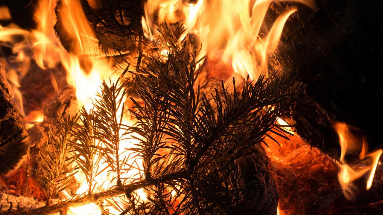 Brandschutz Vorsichtsmaßnahmen für Weihnachten und Silvester - brennender Baum