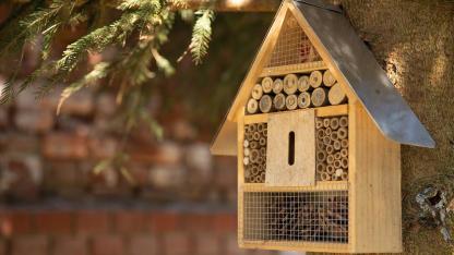 Insektenhotel selbst bauen, Tipps und Tricks
