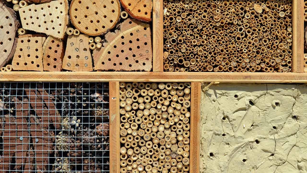 Insektenhotel selbst bauen, Tipps und Tricks - Nahaufnahme
