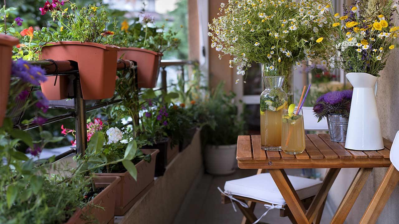 Platzsparende Nutzpflanzen für Ihren Balkon - Kräuter und Blumen