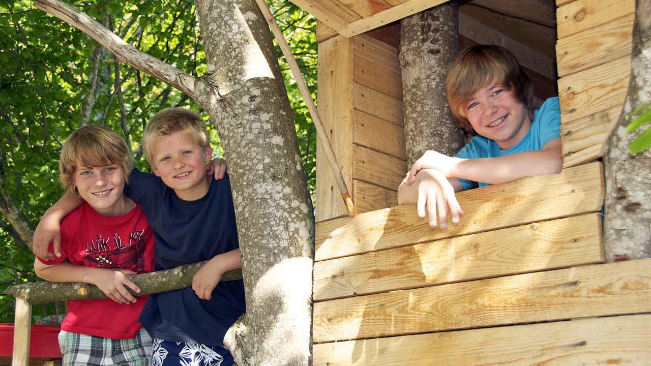 Baumhaus - Vom Kindertraum zum Schlafzimmer in den Bäumen
