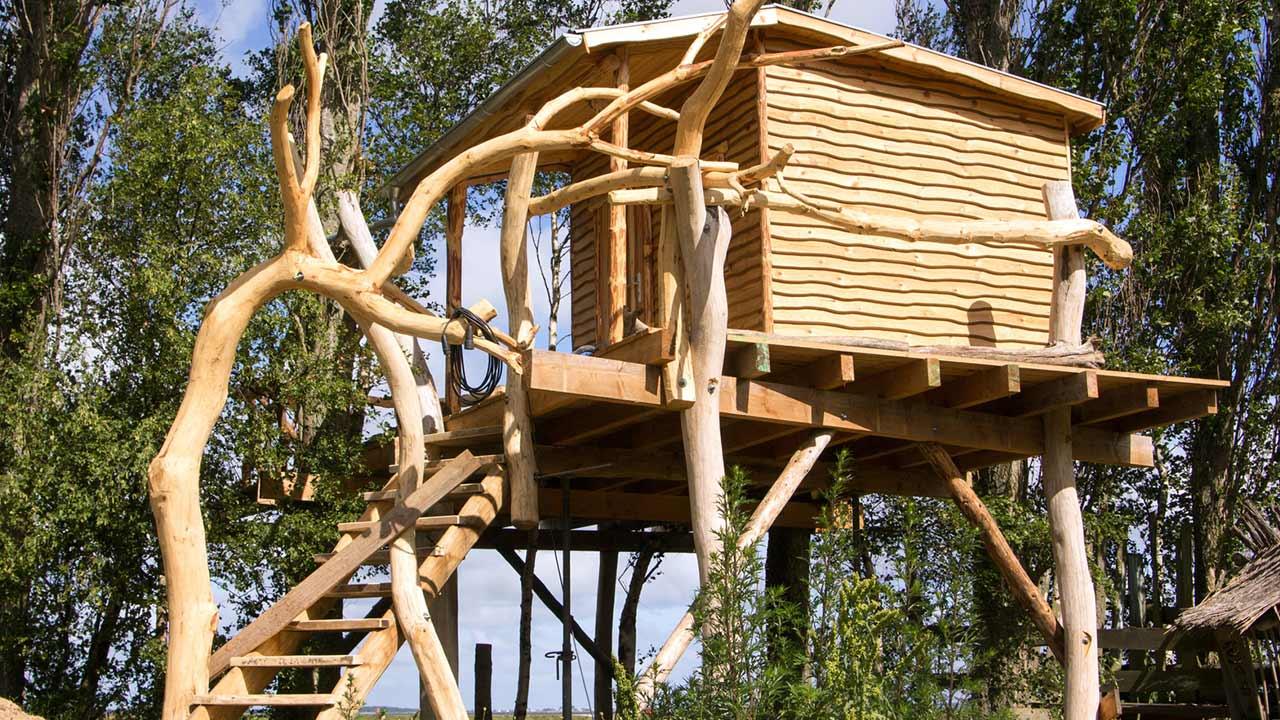 Baumhaus - Vom Kindertraum zum Schlafzimmer in den Bäumen - Luxusmodell