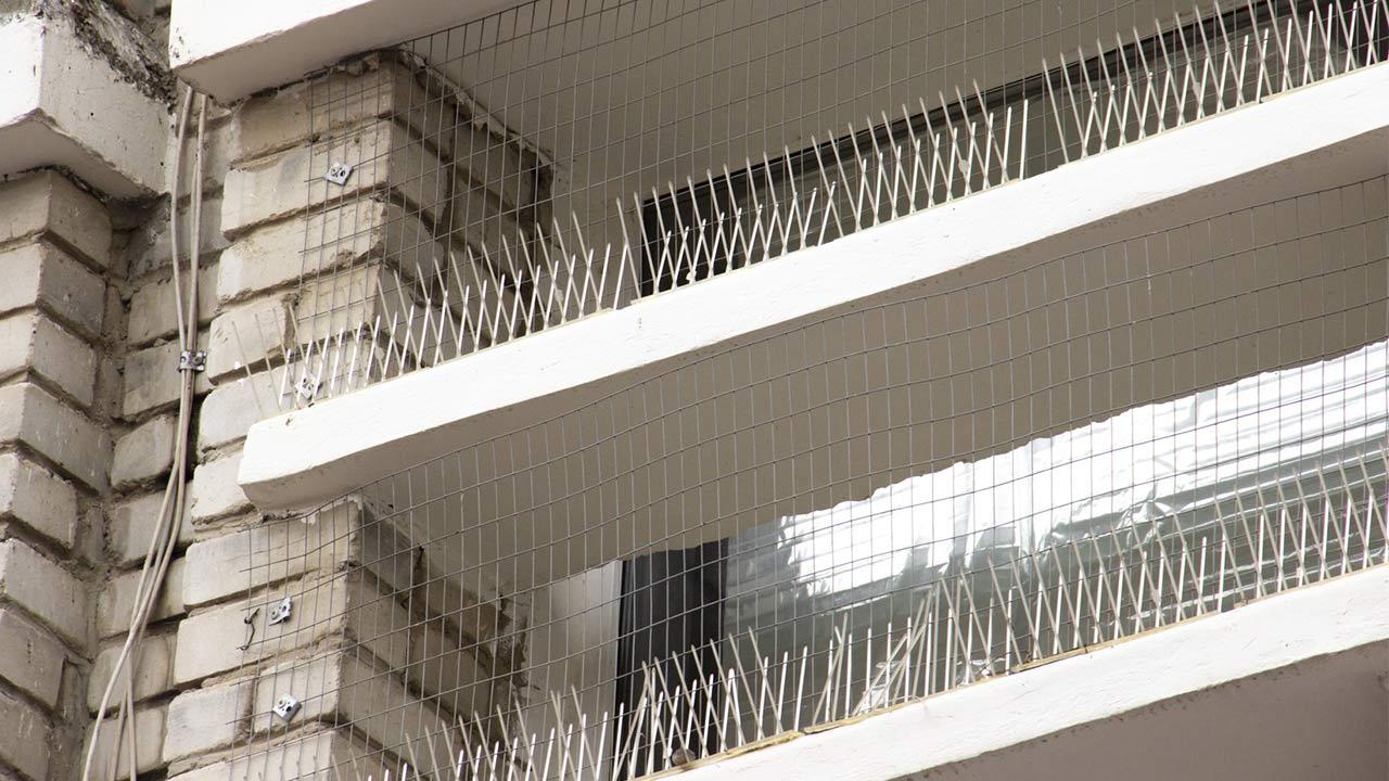 Schädlingsbekämpfung - Tauben / geschützter Balkon mit Plastik spikes