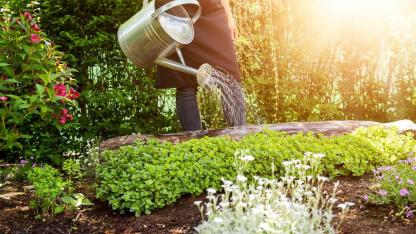 Bewässerungssysteme für den eigenen Garten