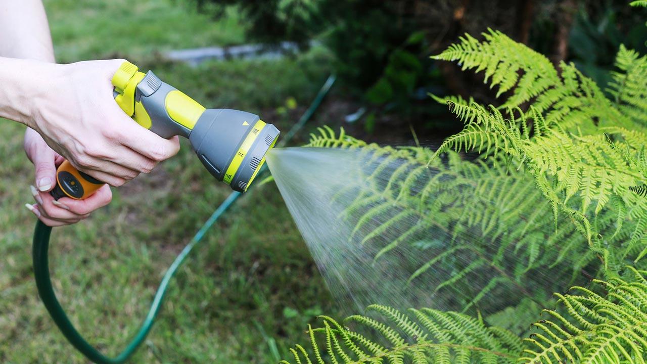 Bewässerungssysteme für den eigenen Garten bei Freize