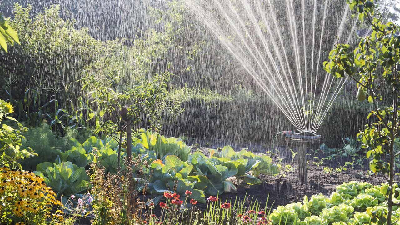 Bewässerungssysteme für den eigenen Garten / Automatische Gartenbewässerungsanlage