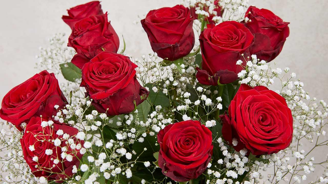 Wie ihre Valentinstagsrosen länger frisch bleiben / frische rote Rosen