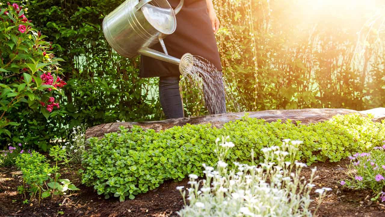 Bewässerungssysteme für Ihren Garten - Gießkanne